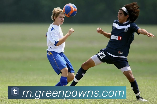 App Interface Preview